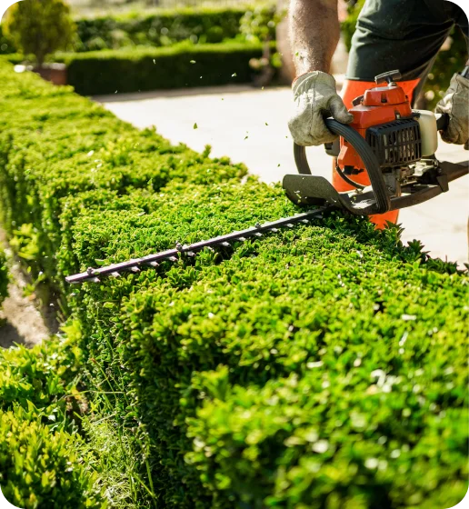 Gardening